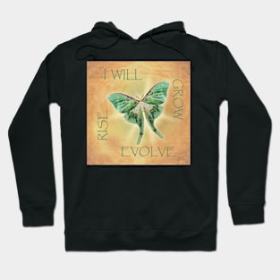 Luna Moth Affirmations Tee Hoodie